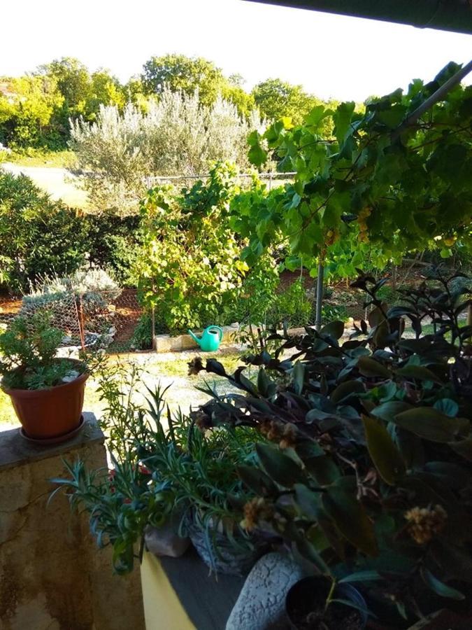 Apartman Garma Rovinj Buitenkant foto