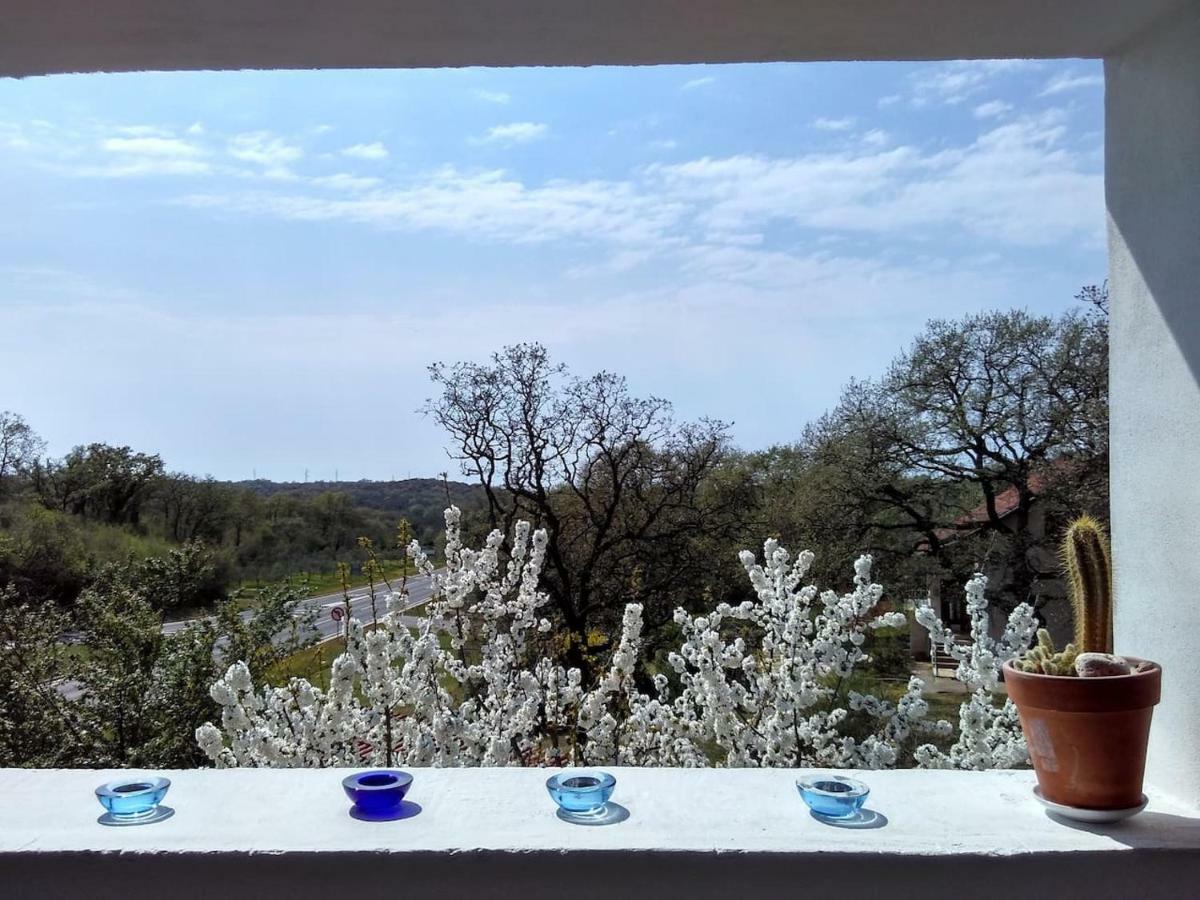 Apartman Garma Rovinj Buitenkant foto